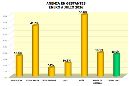 anemia gestantes